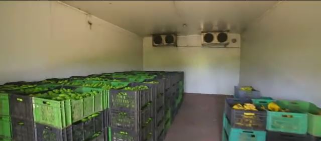 Packed produce ready for dispatch from the Coimbatore cold storage