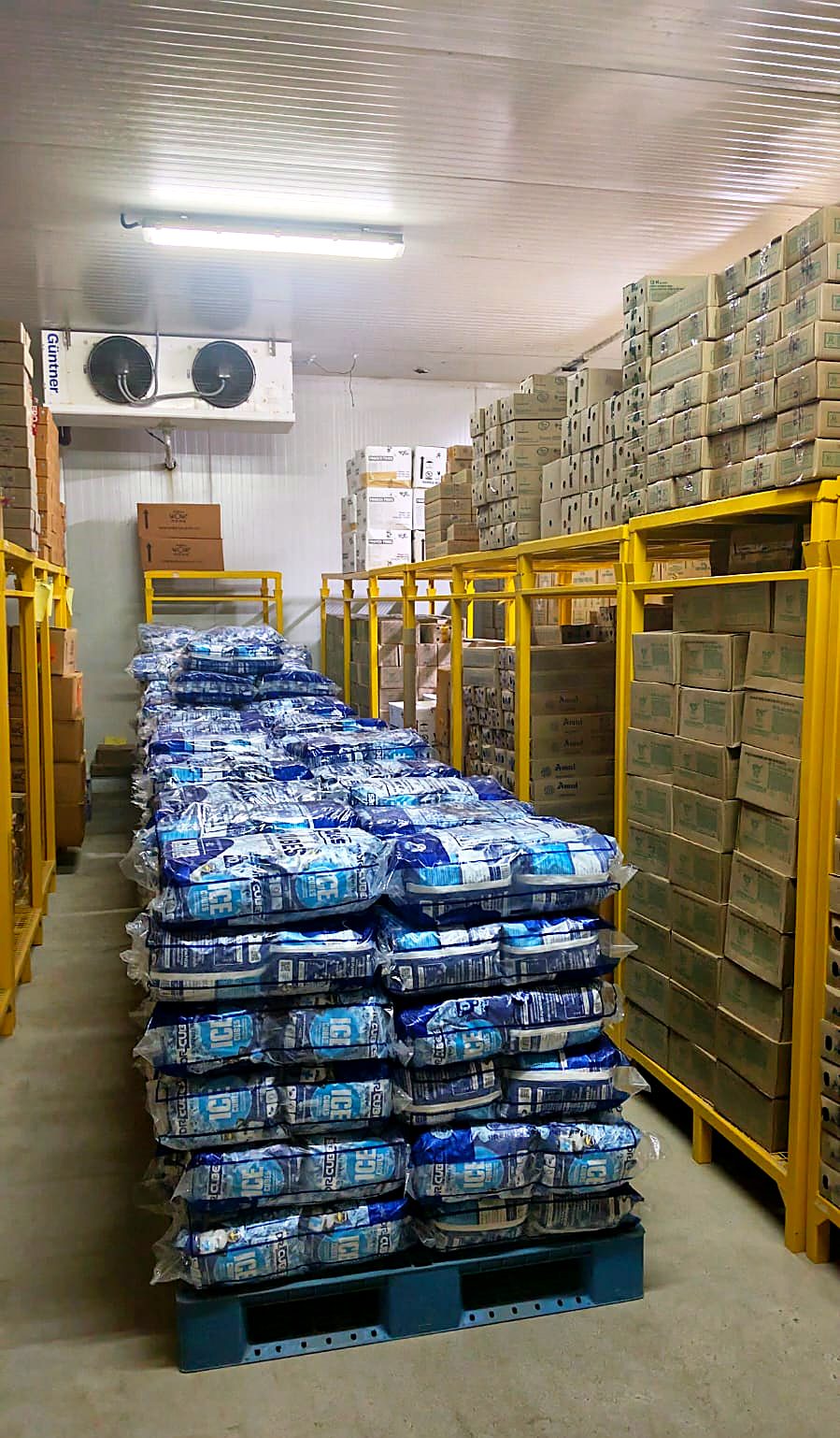 Palletised frozen stock and evaporator units inside the cold storage facility in Coimbatore
